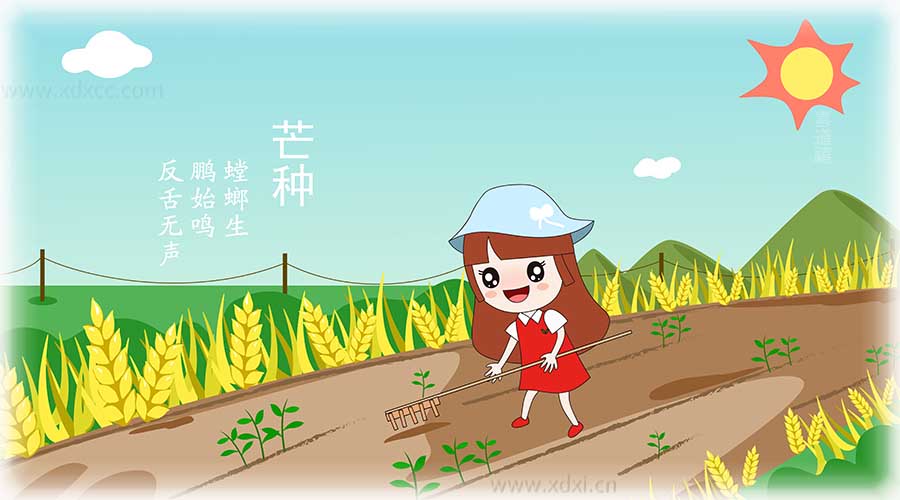     芒種養(yǎng)生原則